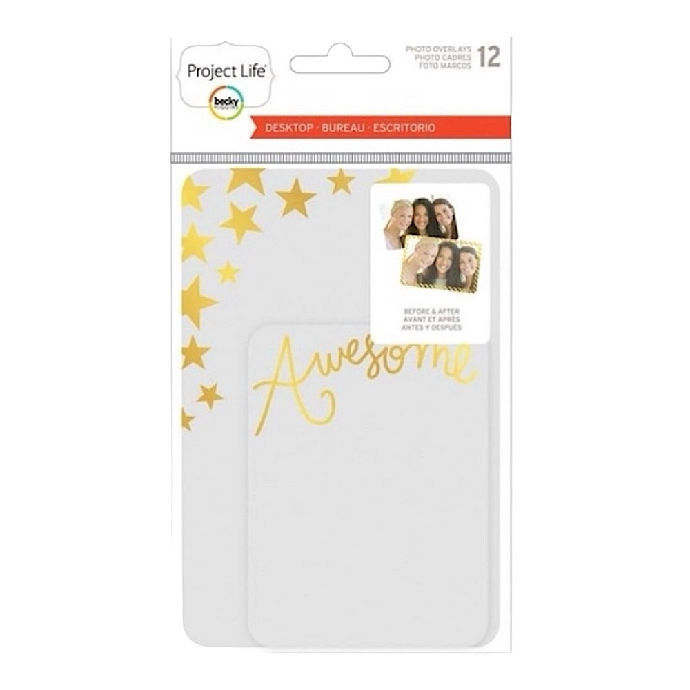 NWT Becky Higgins Project Life 12 Photo Clear/Gold Overlays by American Crafts